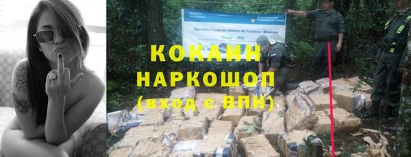сатива Верхнеуральск